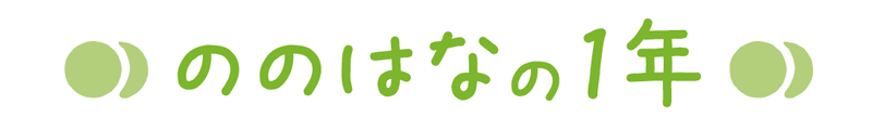 ののはなの１年